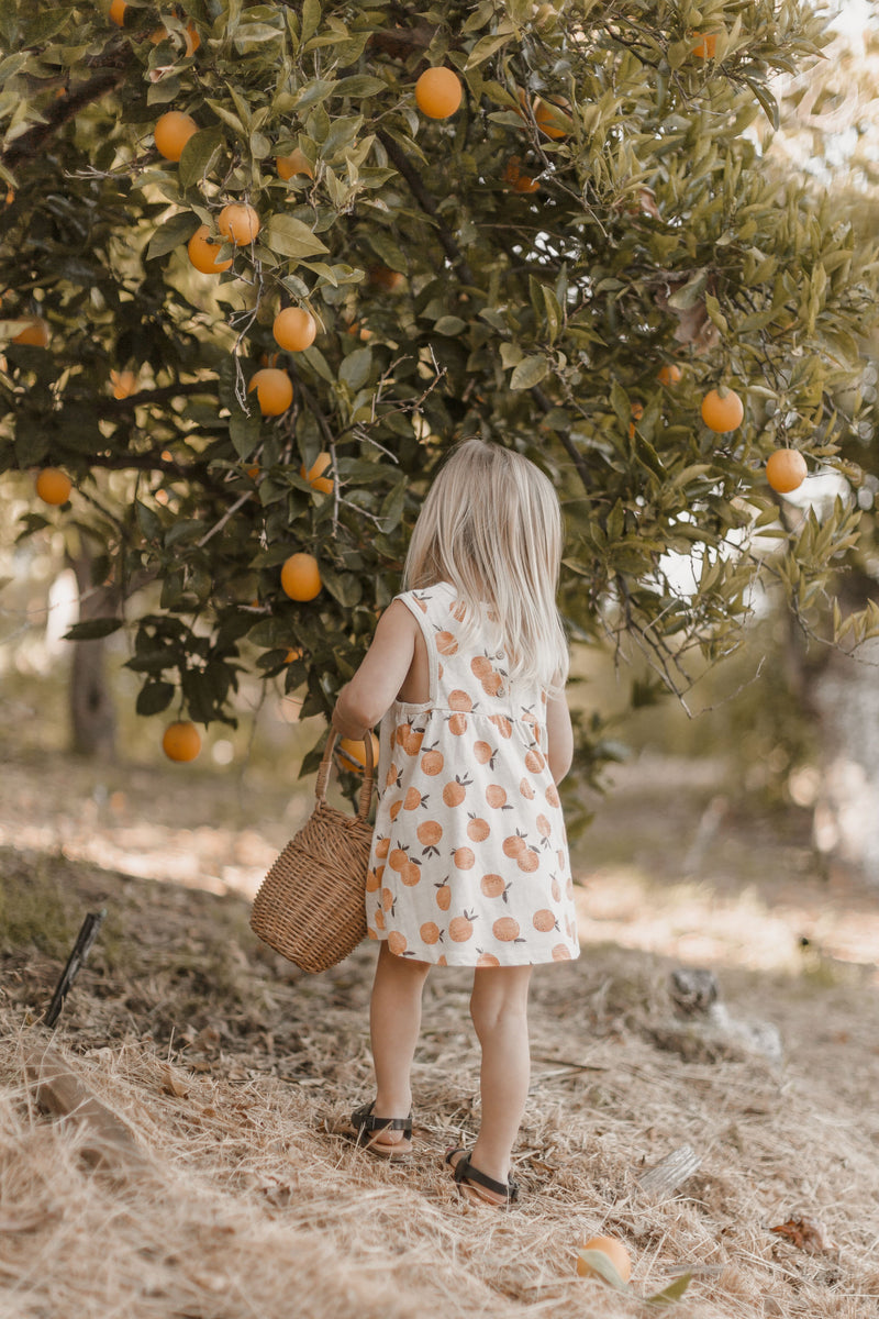 rylee and cru orange dress Rylee + Cru Women's Dallas Dress