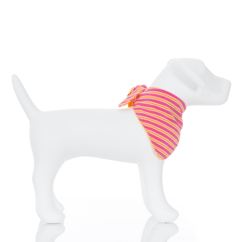 Kickee Pants Print Dog Bandana - Flamingo Brazil Stripe