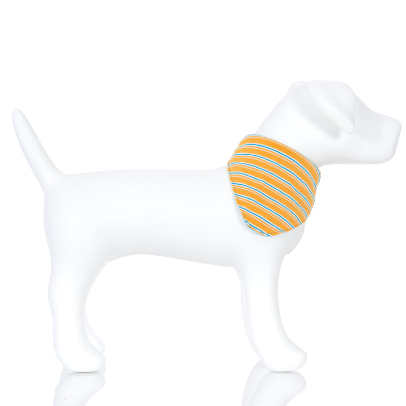 Kickee Pants Print Dog Bandana - Tamarin Brazil Stripe